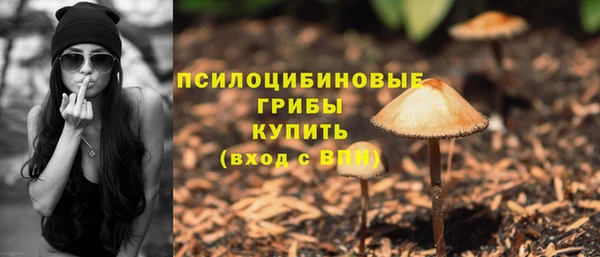 ECSTASY Нязепетровск