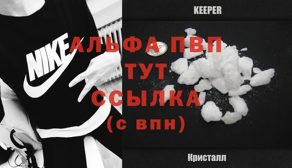 стаф Заводоуковск