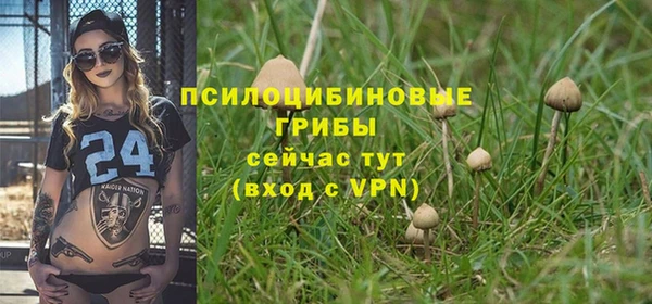 твердый Абаза