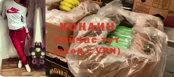 стаф Няндома
