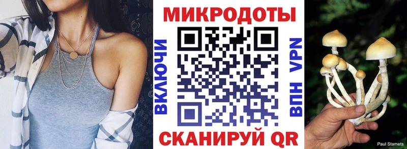 Галлюциногенные грибы MAGIC MUSHROOMS  Иланский 